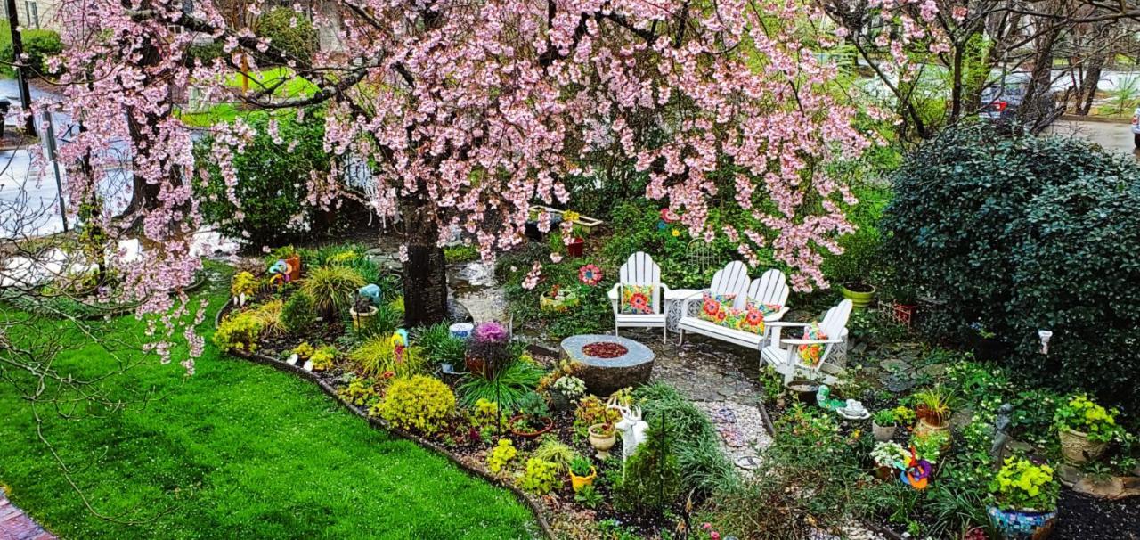 Bed and breakfast Pettigru Place
