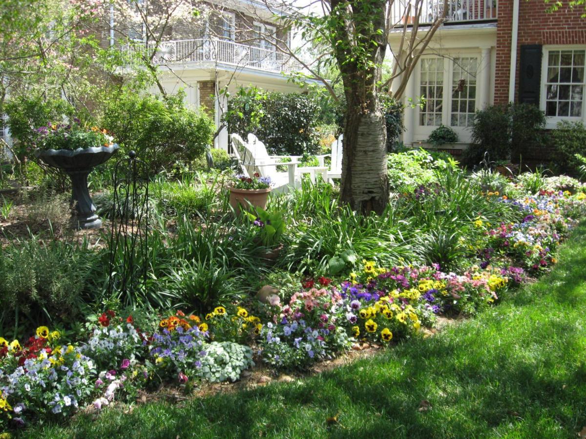 Pettigru Place Bed and breakfast